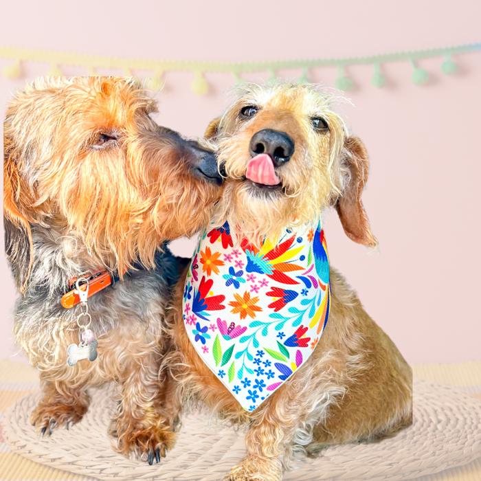 Vibrant Floral Dog Bandana 