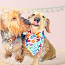  Vibrant Floral Dog Bandana 