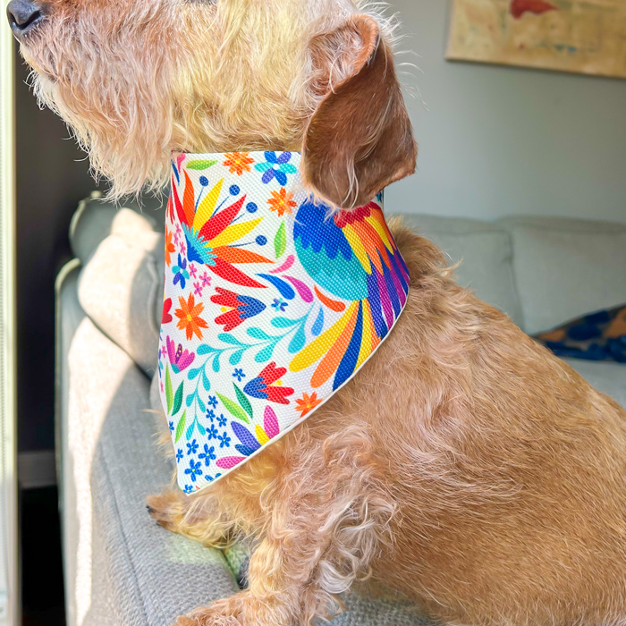 Vibrant Floral Dog Bandana 