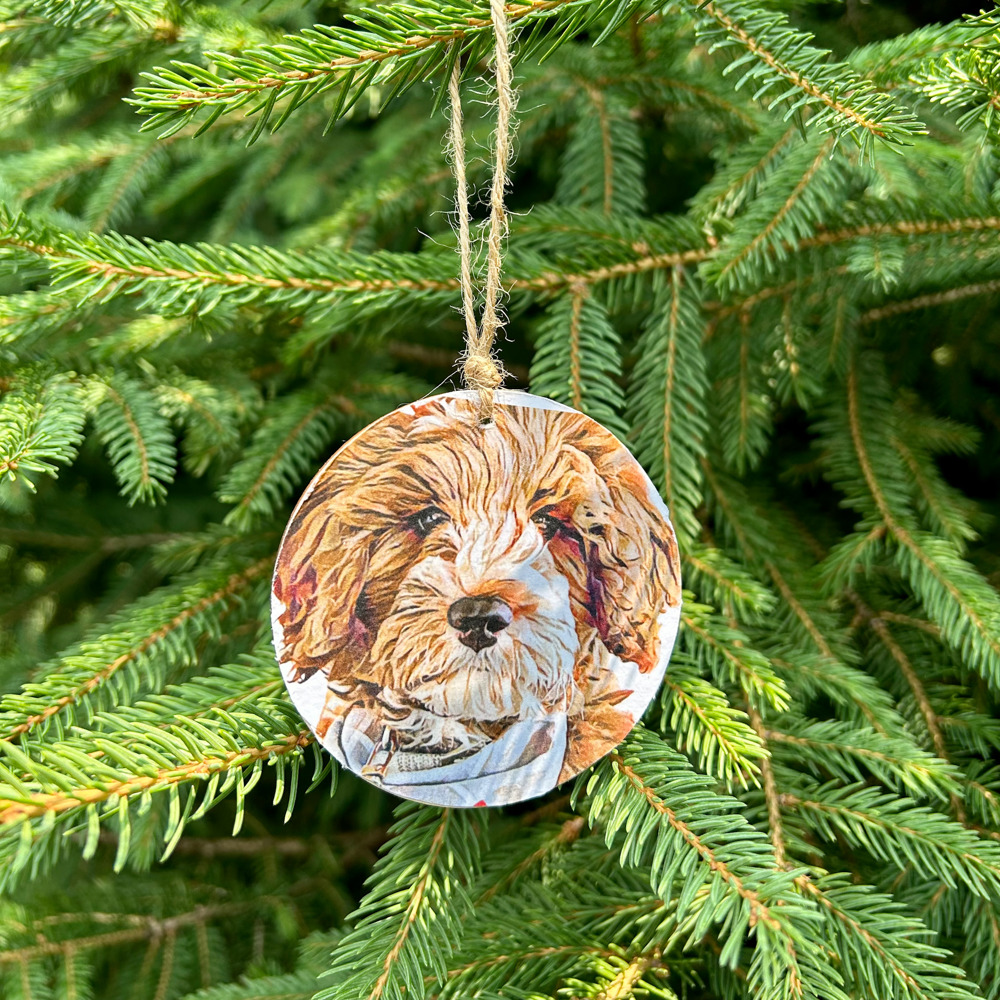 Personalized Ornaments - Pet portraits from photo