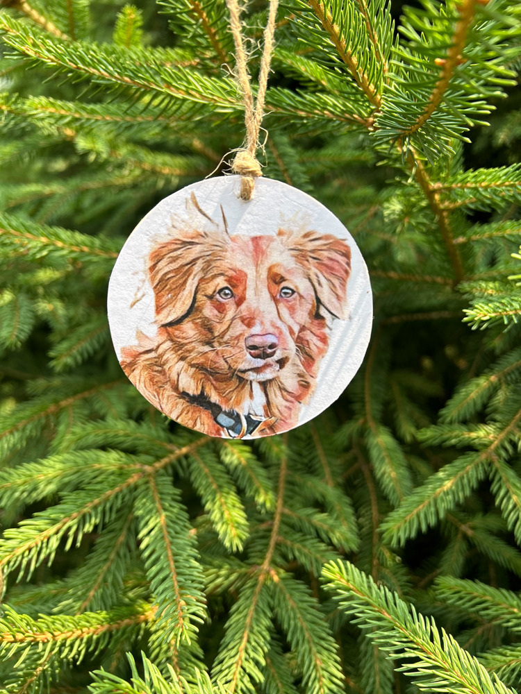 Personalized Ornaments - Pet portraits from photo