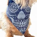  Halloween Dog Bandana | Hand painted, Handmade | Black skull