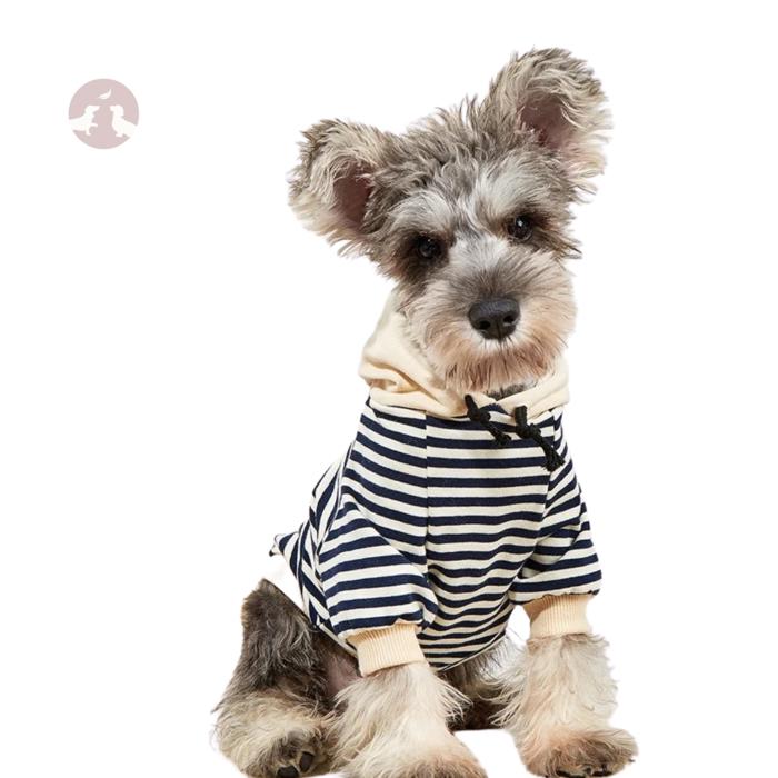 Super Cute Blue Striped Sweater for Small Pups! Dogs and Cats | Gifts