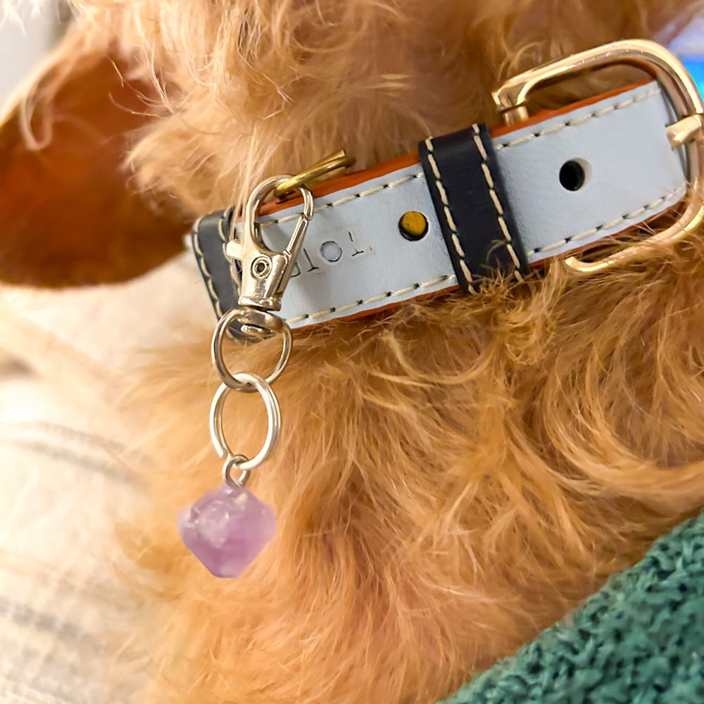 Charm! Amethyst Charm for Dogs or Dog Moms! Gift ideas - Crystal healing