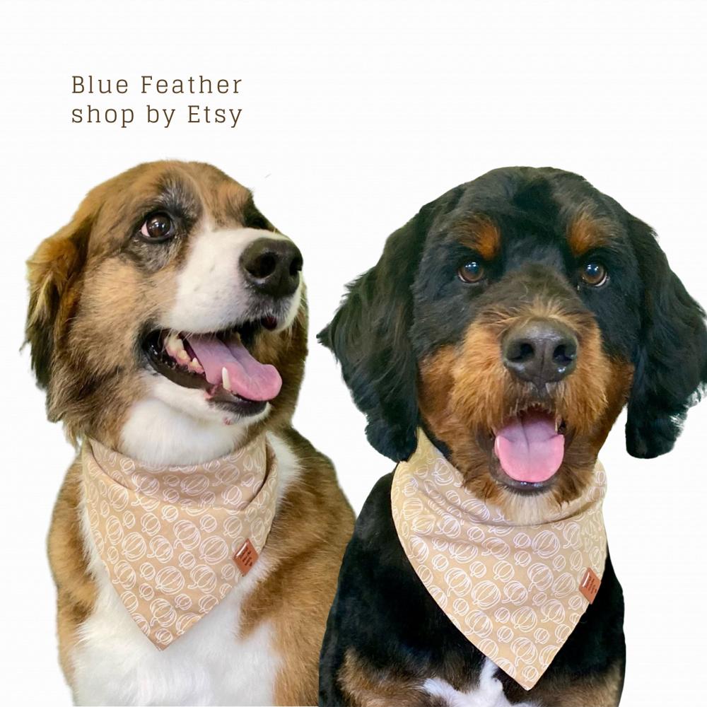 Pumpkin Dog bandana - Dog costume- Spooky Style for Your Furry Friend!