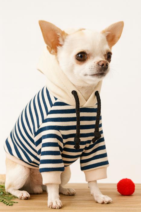 Holiday Dog Hoodie for Small Breeds. Cozy, Cute and Perfect for Gifting