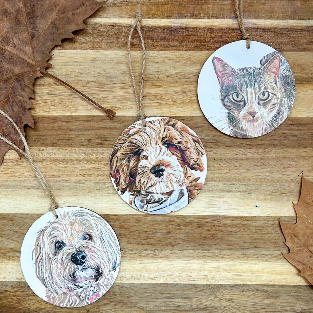 Personalized Ornaments - Pet portraits from photo