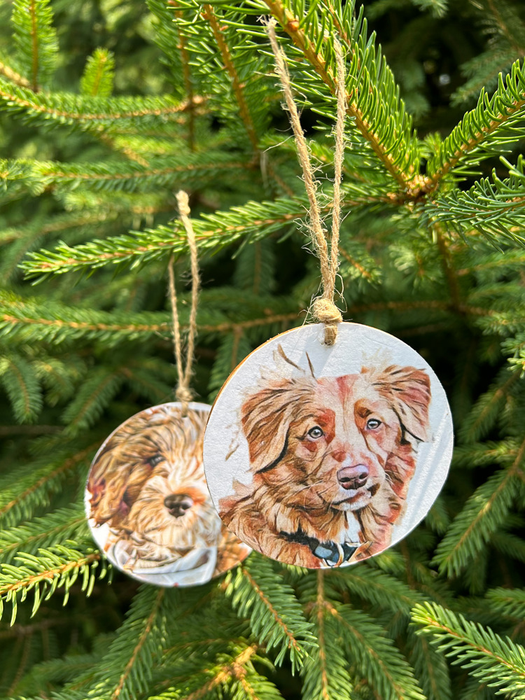 Personalized Ornaments - Pet portraits from photo