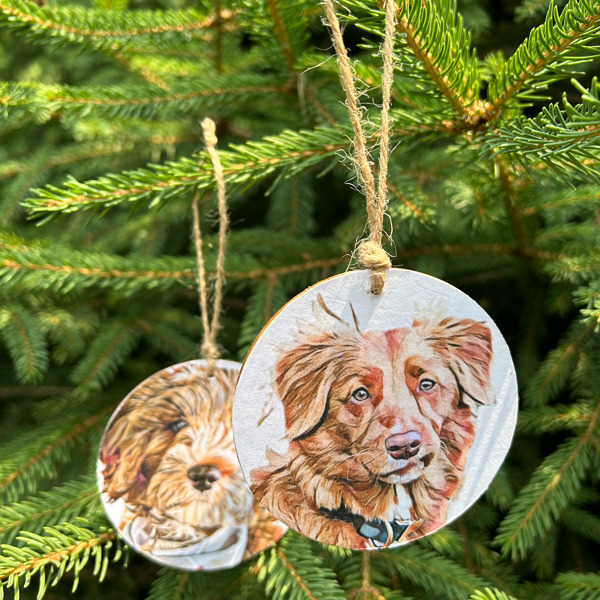 Personalized Ornaments - Pet portraits from photo