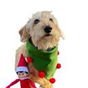  ELF Dog bandana! Christmas gift ideas