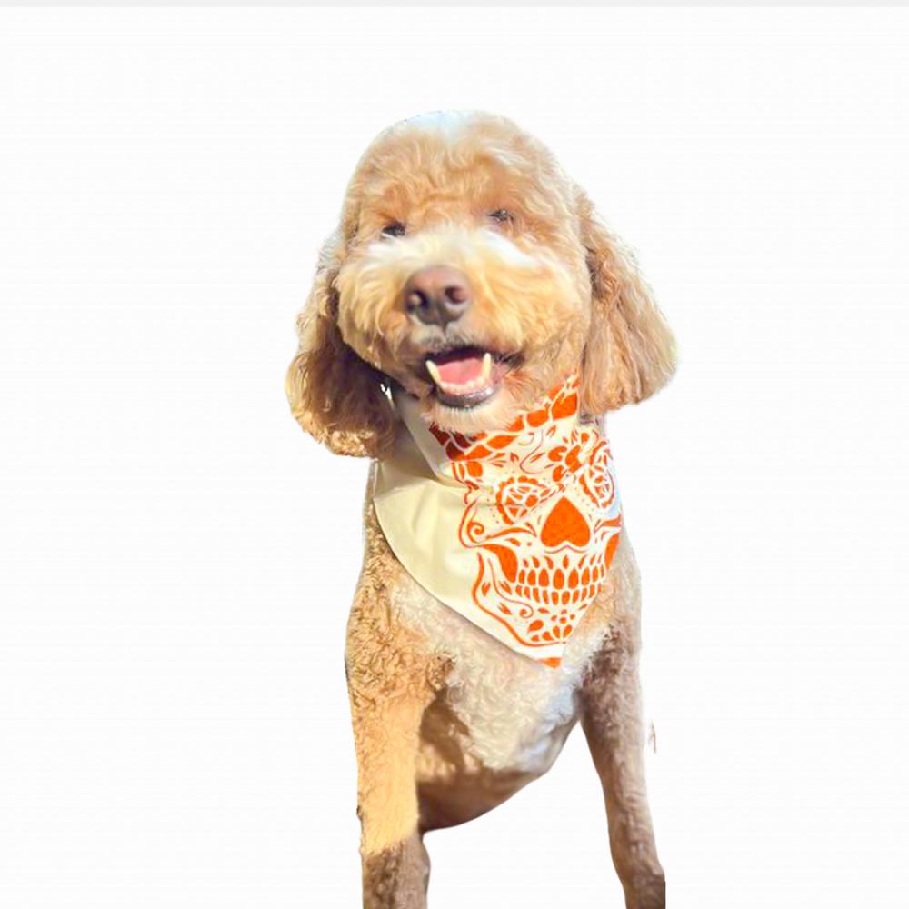 Hand painted Halloween Dog bandana - Dog costume- Spooky Style for Your Furry Friend!