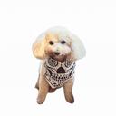  Dog bandana for Halloween | Ivory-Brown skull