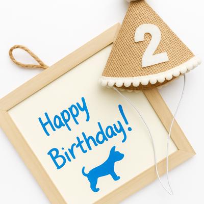 Birthday Hat & Whiteboard Set  - Party time