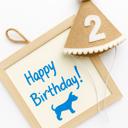  Birthday Hat & Whiteboard Set  - Party time