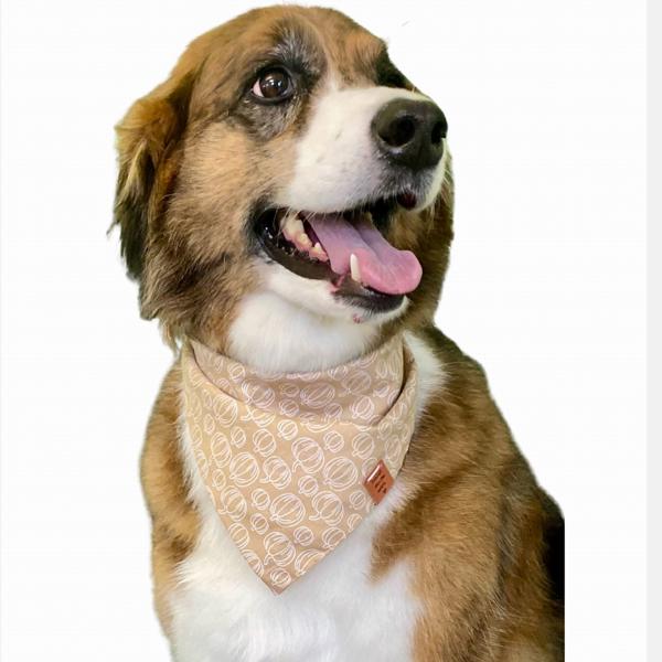 Pumpkin Dog bandana - Dog costume- Spooky Style for Your Furry Friend!