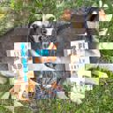  Best Fur Dad Ever (Paperback), Written by Your Canine Fur-Kid!