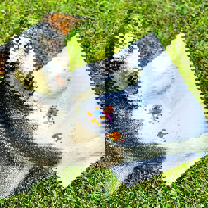 Best Fur Dad Ever (Paperback), Written by Your Canine Fur-Kid!