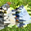  Best Fur Dad Ever (Paperback), Written by Your Canine Fur-Kid!