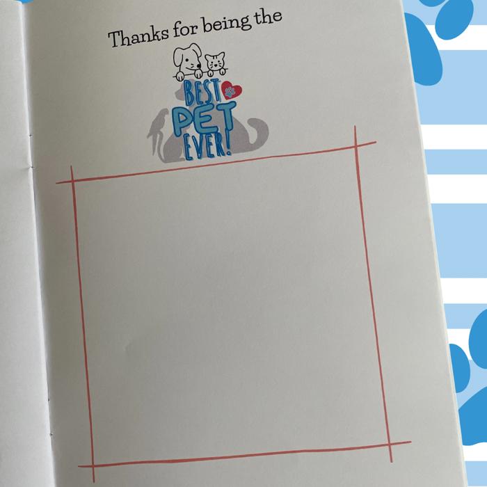 BUNDLE & SAVE on 'Best Pet Ever' - Kids Book (Paperback) AND Lucky Slime Kit