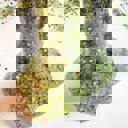  Witch’s Brew Glow-In-The-Dark Halloween Slime Kit