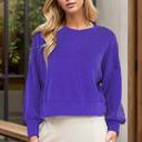 Small PURPLE CROP LONG SLEEVE WAVE RIB TOP 