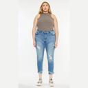 Size 3X (PLUS SIZE) Lennon Denim by KanCan 