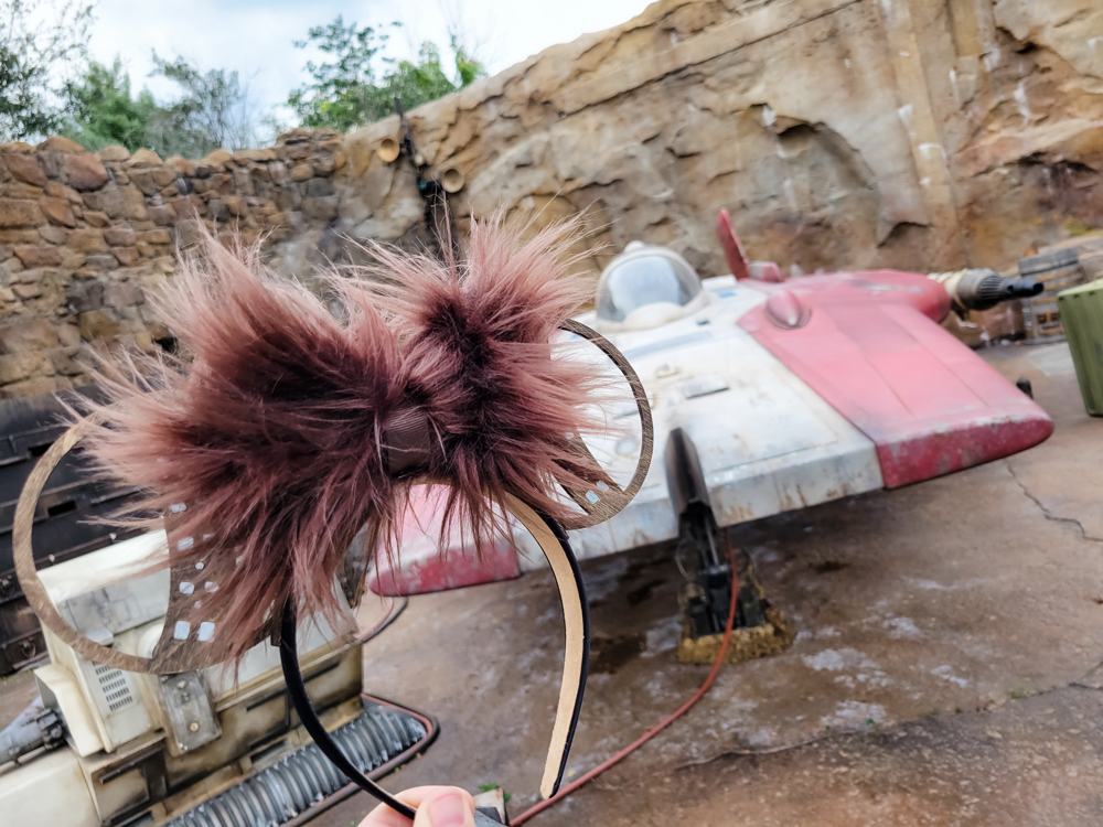 Chewy Minnie Ears Headband