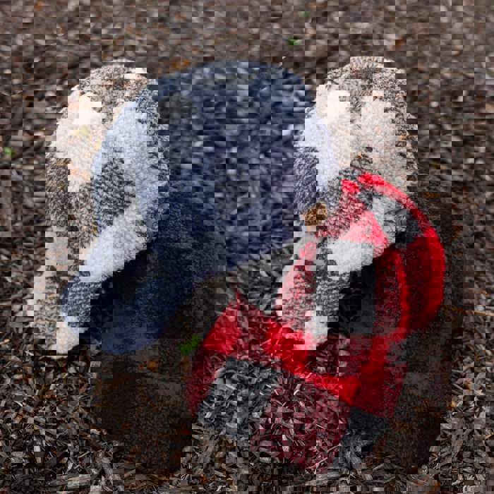 C.C® Buffalo Plaid Sherpa Cap by Truly Contagious