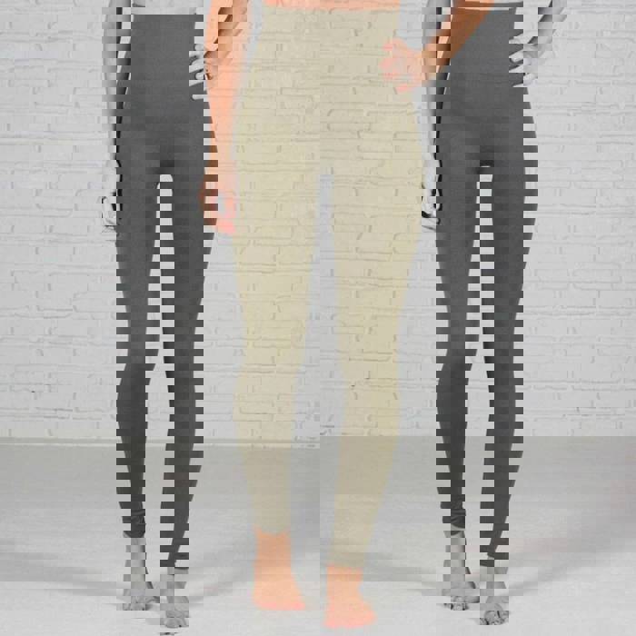 Tummy Control Fleece Lined Leggings Two Sizes Curvy Added