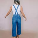 3X Judy Blue High-Waist Crop Overalls