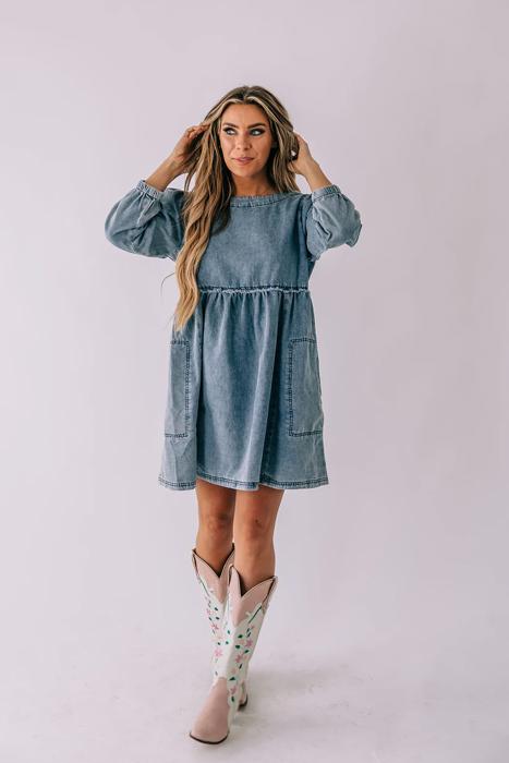 Carter Denim Dress