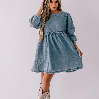 Carter Denim Dress