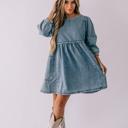  Carter Denim Dress