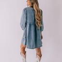  Carter Denim Dress