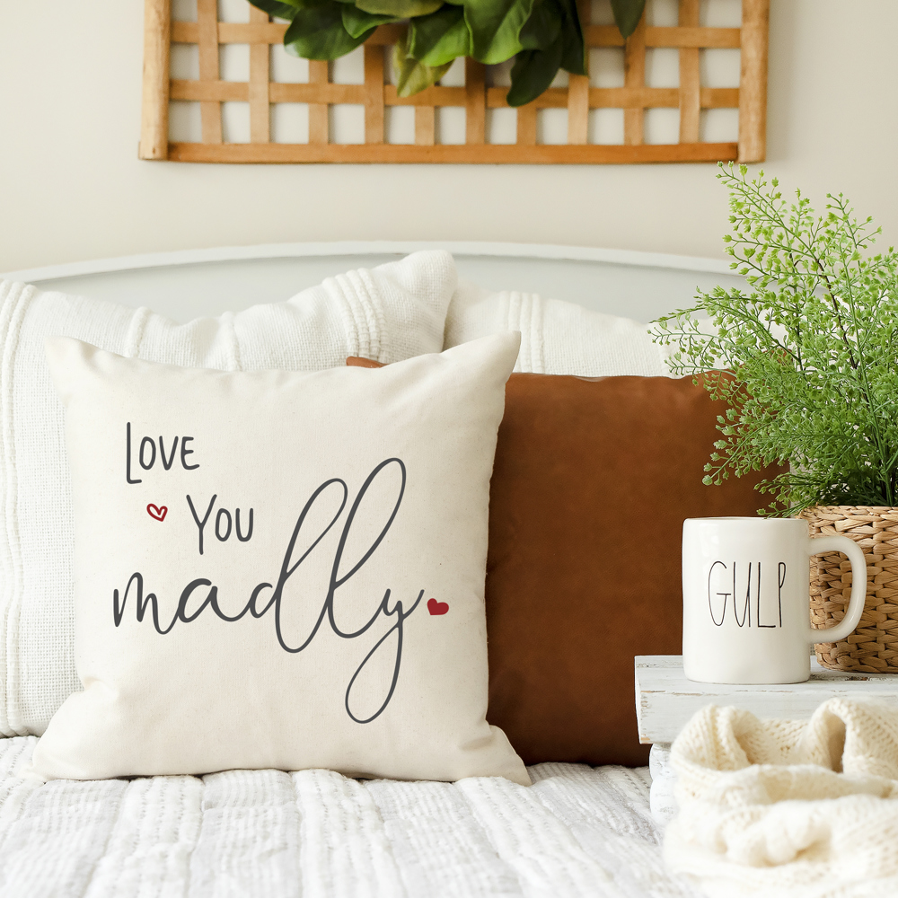 Love You Madly Valentine's Day Pillow Cover 18x18