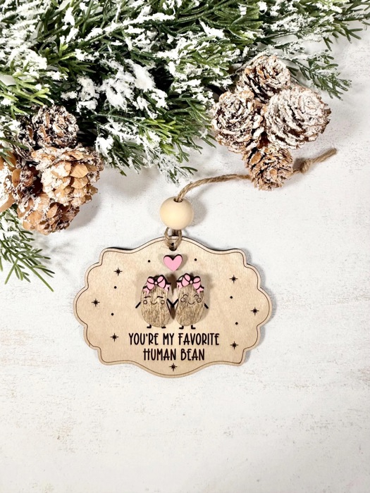You're My Favorite Human Bean, Best Friend Ornaments Friendship Ornament, Friendship Christmas, Gift for Bestie, Gift for Best Friends
