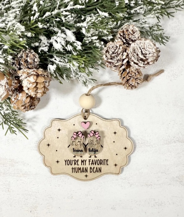 You're My Favorite Human Bean, Best Friend Ornaments Friendship Ornament, Friendship Christmas, Gift for Bestie, Gift for Best Friends