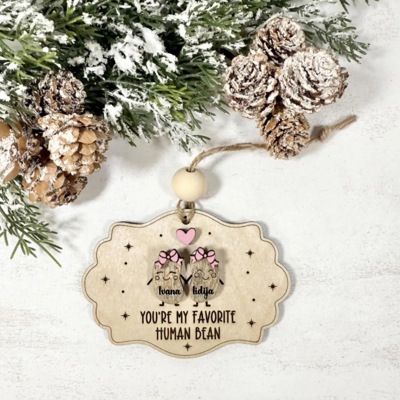 You're My Favorite Human Bean, Best Friend Ornaments Friendship Ornament, Friendship Christmas, Gift for Bestie, Gift for Best Friends