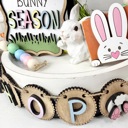  Easter Tier Tray Decor, Spring Tier Tray Decor, Easter Home Decorations, Bunny Season Farmhouse Decor
