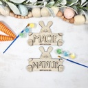  Personalized Easter Bunny DIY Paint Kit, Easter Basket Stuffer
