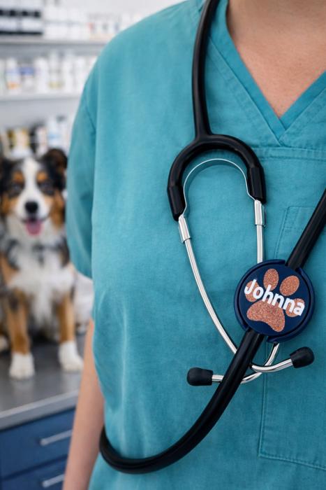 Personalized Paw Print Stethoscope ID Tag - DMV Vet Tech Gift 