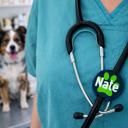  Personalized Paw Print Stethoscope ID Tag - DMV Vet Tech Gift 