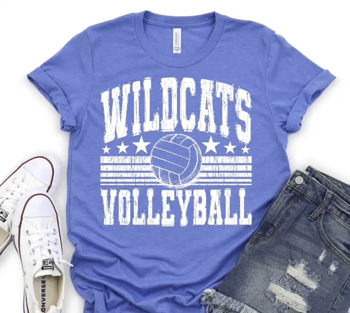 Custom Mascot Volleyball Tee – 30+ Mascots, 50+ Shirt Colors & Custom Ink
