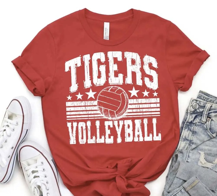 Custom Mascot Volleyball Tee – 30+ Mascots, 50+ Shirt Colors & Custom Ink