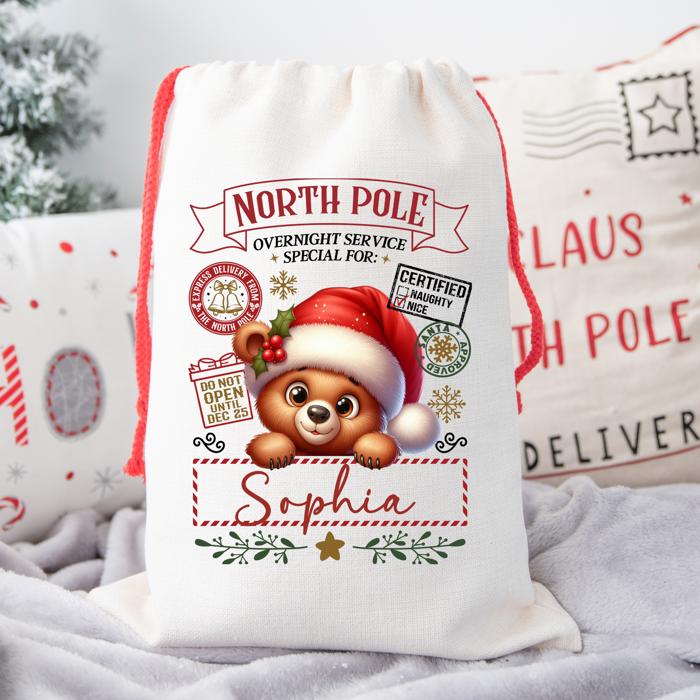Personalized Santa Sack; Child's Fabric Christmas Gift Bag with Name; Santa, Reindeer, Puppy, Kitten, Teddy Bear Designs; Large & Small Bags