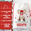  Personalized Rudolph Initial Special Delivery Santa Bag; Child's Fabric Christmas Gift Bag with Child’s Initial & Name; Large and Small Bags
