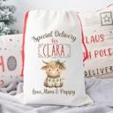  Personalized Baby Animal Christmas Gift Bag with Child’s Name and Custom Signature, Deer, Polar Bear, Dolphin, Owl or Highland Cow