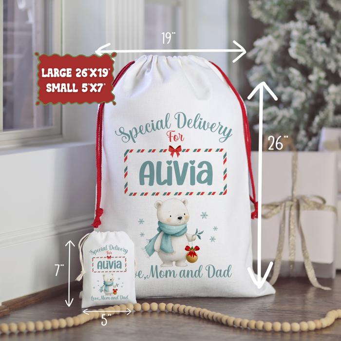 Personalized Baby Animal Christmas Gift Bag with Child’s Name and Custom Signature, Deer, Polar Bear, Dolphin, Owl or Highland Cow
