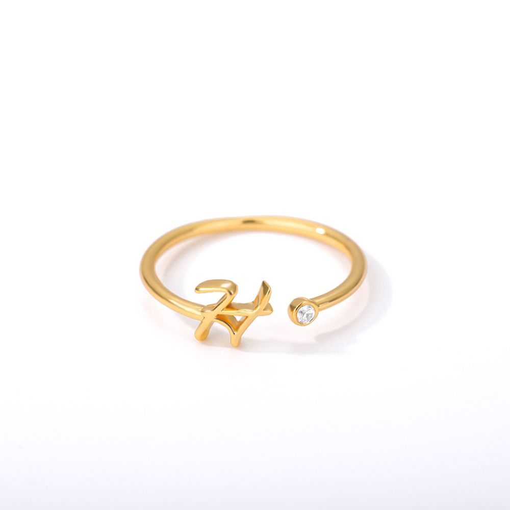 DaniEmCo CZ INITIAL RINGS | Personalized Letter Collection | Gold Plated Stainless Steel