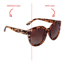  Sugar Sugar Sunglasses